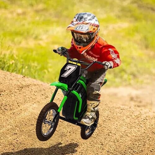 24V 350W Kids Electric Dirt Bike, 3-Speed, Off-Road Ride-On Motorcycle S465