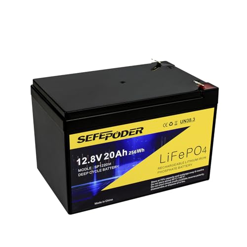 12V 20Ah LiFePO4 Deep Cycle Battery 2 Pack with 40A BMS X9348