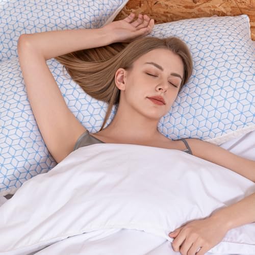 Shredded Memory Foam Pillows King Size Set of 2, Cooling Adjustable Y9020