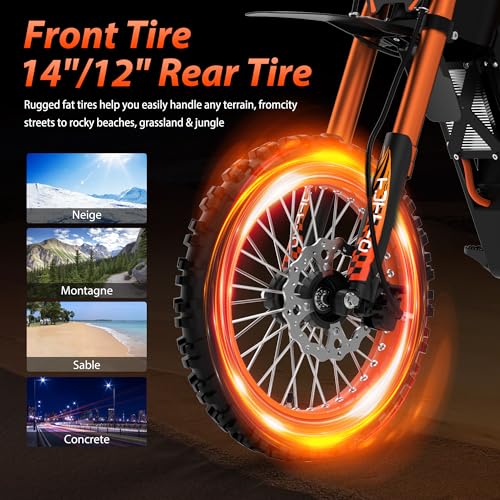 Soleil01 Electric Dirt Bike for Teens Adults, 14" Fat Tire 2000W 48V 21AH H353