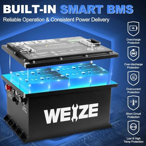 Weize 12V 100Ah LiFePO4 Lithium Battery with Smart BMS D8810