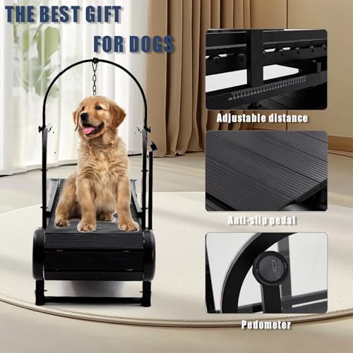 Dog Treadmill for Dogs with Step Counter, Adjustable Incline & Brake, Supports Up to 300 lbs U561