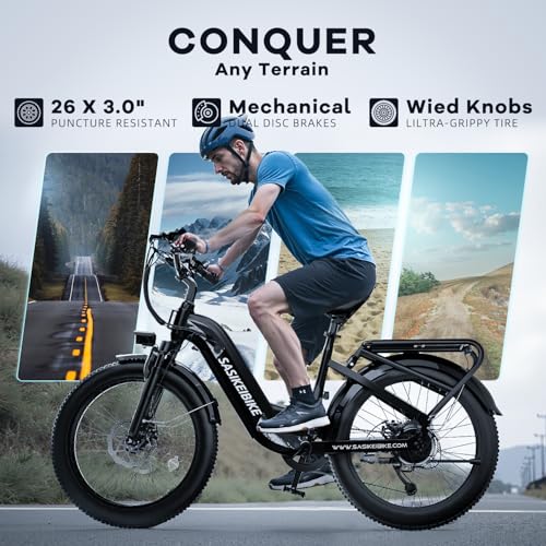 1500W Electric Bike for Adults, 48V 20AH Removable Battery Step-Thru, 24" Fat Tire Y988340