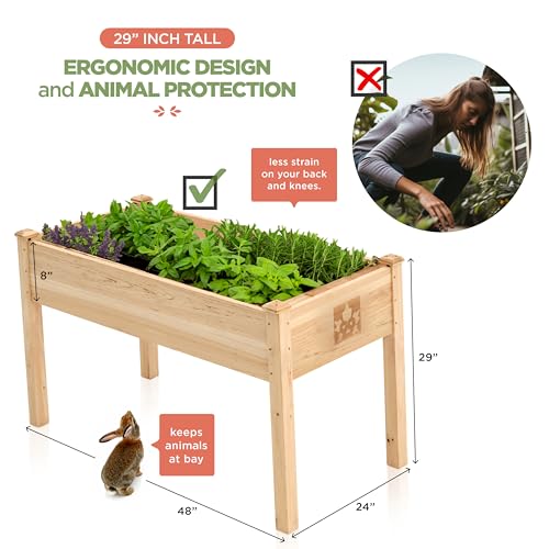 Raised Garden Bed with Legs 48x24x30 Natural Cedar Wood Elevated Planter Box O940090