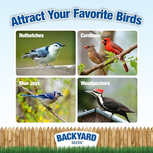 Backyard Seeds Shelled Peanut Pickouts – 25 lb Bag for Wild Birds & Wildlife O86894