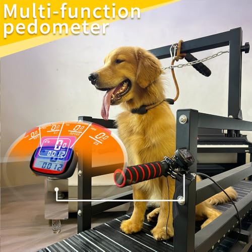 Dog Treadmill with Disc Brake and Speedometer for Large Dogs, 300 lbs Capacity R894122
