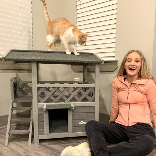 Aivituvin Cat House Outdoor Indoor Insulated Shelter with Escape Door R3178