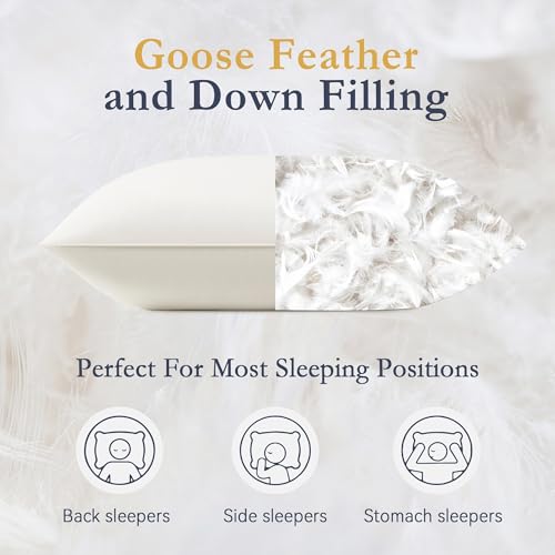 puredown® Goose Feathers and Down White Pillows King Size Set of 2 G471477