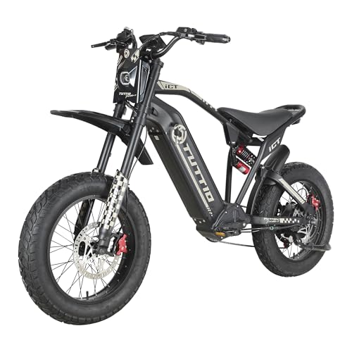 Electric-Dirt-Bike for Adults-Teens, ICT Peak 4000W-43MPH-60V-25AH Electric Motorcycle 20" Fat-Tire-Electric-Bike for Mountain Snow Off-Road Fit Age 16+