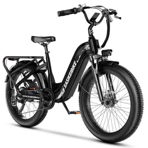 1500W Motor Peak Electric Bike for Adults and Teenagers, 48V 20AH Removable Battery Step Thru EBike, 30+MPH, 80 Miles Max Range, 24" Fat Tire Adult Electric Bicycles for 7 Speed