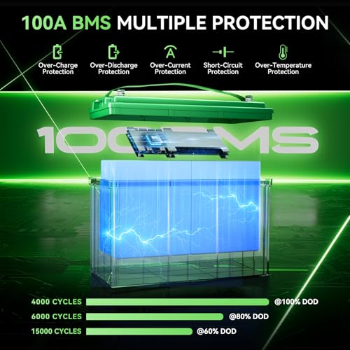 12V 100Ah LiFePO4 Lithium Battery with 100A BMS U8311