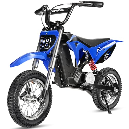 Kids Electric Dirt Bike 36V 350W, 16 MPH, Ages 5-8 C762