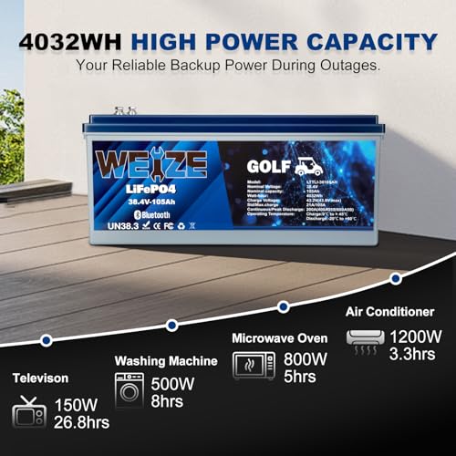 Weize 12V 100Ah LiFePO4 Lithium Battery with Smart BMS D8810