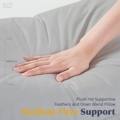 puredown® Goose Feathers and Down White Pillows King Size Set of 2 G471477