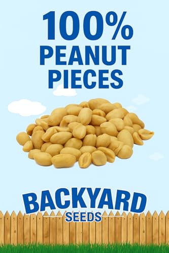 CountryMax Backyard Seeds Shelled Whole Peanuts for Birds & Wildlife, 10 lbs Bag H28185