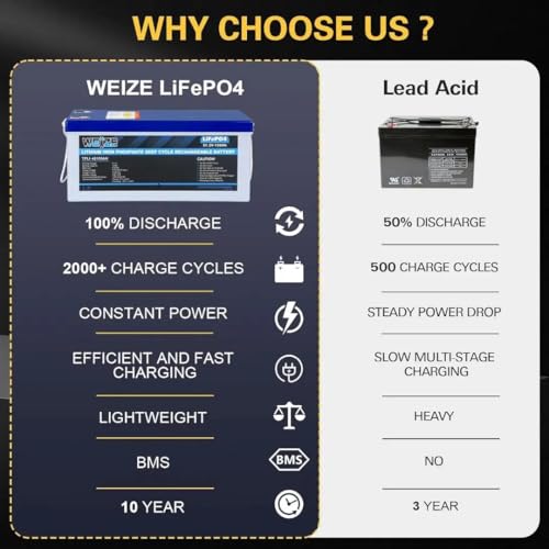 Weize 12V 100Ah LiFePO4 Lithium Battery with Smart BMS D8810