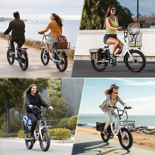 isinwheel U1 Folding Electric Bike, 500W Motor, 20 mph, Black O499