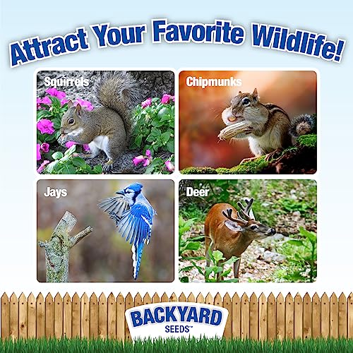Backyard Seeds Squirrel & Chipmunk Food Mix – 8 lb Bag W532013