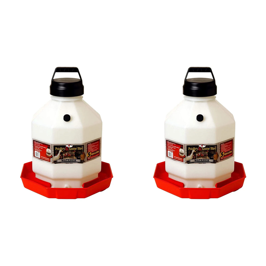 Little Giant PPF5 5 Gallon Automatic Poultry Waterer for Chickens, Red (2 Pack)