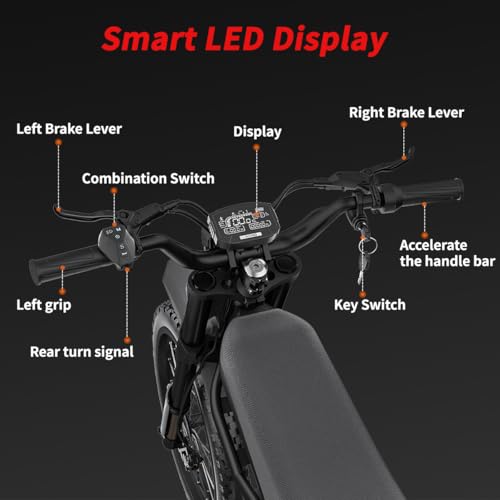 2000W/3000W GT73 Electric Dirt Bike for Adults, 25" Fat Tires, Dual Removable Battery T652