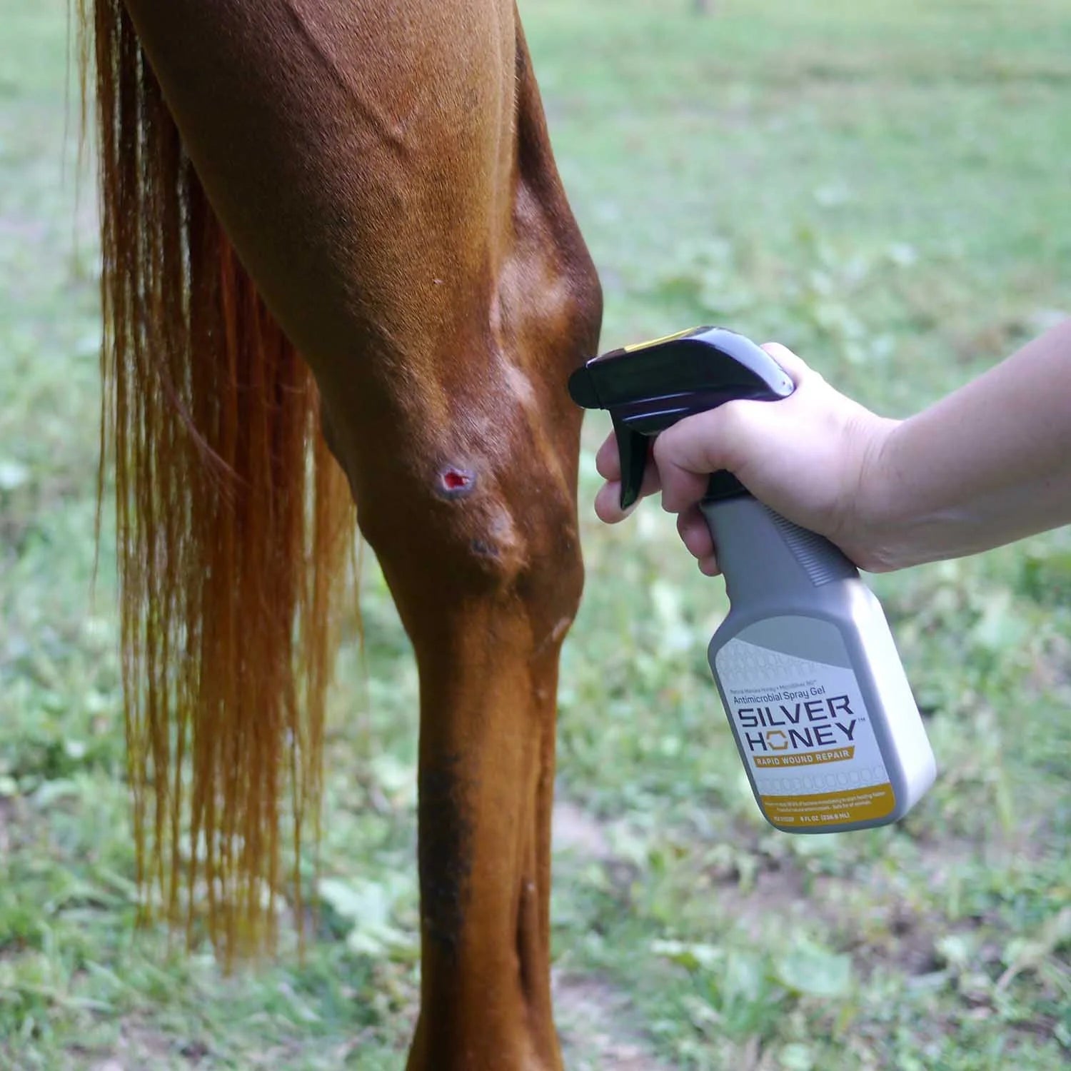 Absine Silver Honey Rapid Wound Repair Spray Gel, Manuka Honey & MicroSilver BG, 8oz D99877