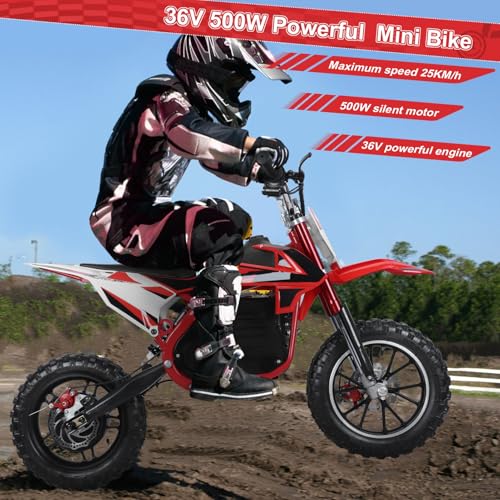 Electric Dirt Bike 36V 500W Off Road Mini Motocross for Teens Adults E684485