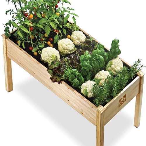 Raised Garden Bed with Legs 48x24x30 Natural Cedar Wood Elevated Planter Box O940090