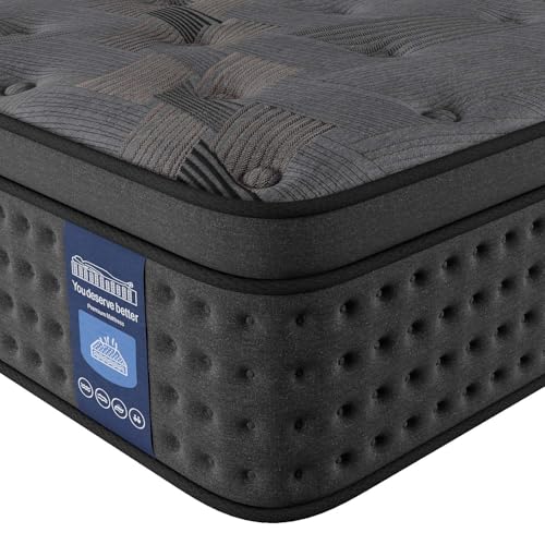 Queen Mattress 10 Inch Hybrid with Memory Foam and Pocket Spring U988