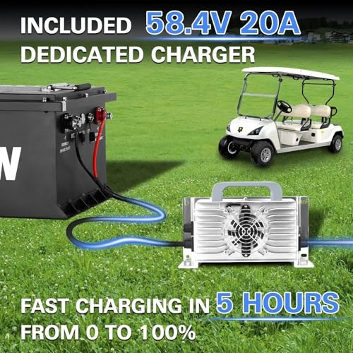 Weize 12V 100Ah LiFePO4 Lithium Battery with Smart BMS D8810