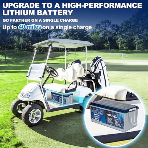 Weize 12V 100Ah LiFePO4 Lithium Battery with Smart BMS D8810