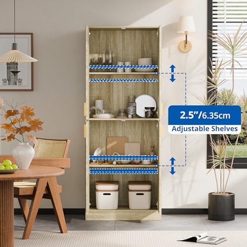 Cozy Castle 71" Tall Kitchen Pantry Cabinet with Doors and Shelves, Gray R70739