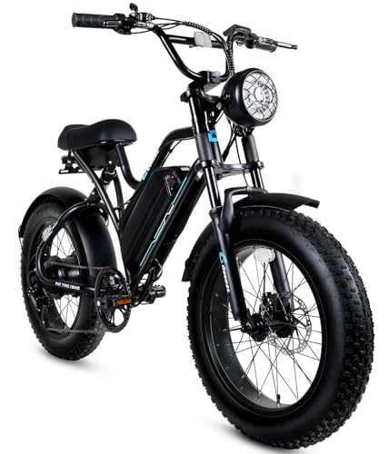 Fat Tire Electric Bike for Adults 1500W 48V 20x4" All Terrain W487