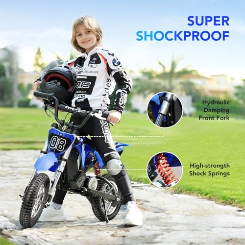 Kids Electric Dirt Bike 36V 350W, 16 MPH, Ages 5-8 C762