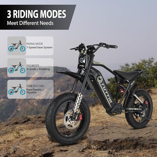 ICT Peak 4000W Electric Dirt Bike for Adults, 20" Fat Tire Off-Road Motorcycle E8841
