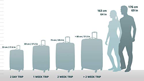 Samsonite Winfield 3 DLX Hardside Expandable Luggage, Silver, Carry-On 20-Inch F64293