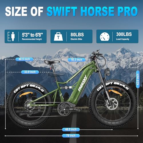 FREESKY 2000W Electric Bike with BAFANG Motor, 48V 30Ah Samsung Battery, 35MPH, 120 Miles Range K7833