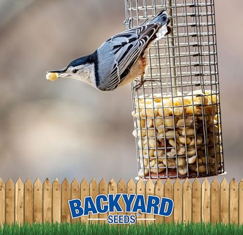 CountryMax Backyard Seeds Shelled Whole Peanuts for Birds & Wildlife, 10 lbs Bag H28185
