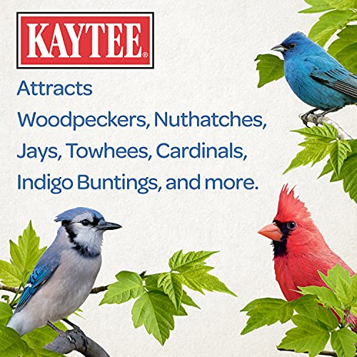 Kaytee Peanuts in Shell for Wild Birds, 10 Pound Bag T22528