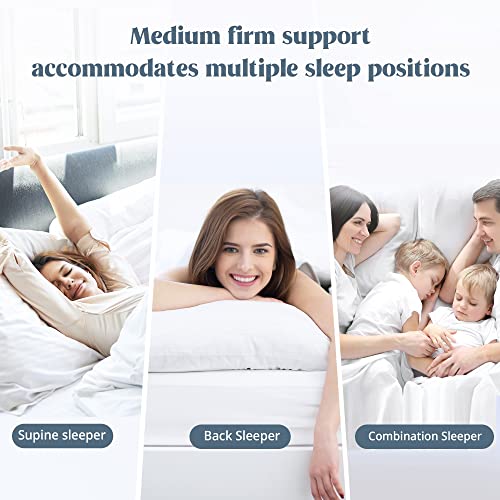 puredown® Goose Feathers and Down White Pillows King Size Set of 2 G471477