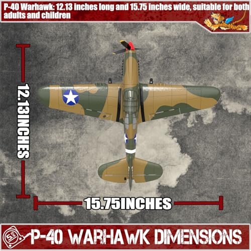 LEAMBE RC Plane P-40 Warhawk 4 Channel Remote Control Airplane Ready to Fly U9044