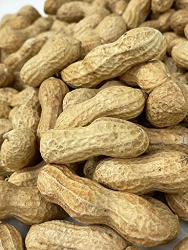 Raw Peanuts in Shell for Animal Feed, 10LB F20573