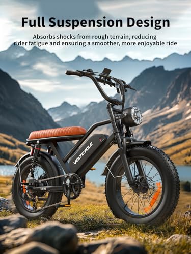 Electric Bike for Adults 48V 500W 20" Fat Tire Full Suspension E-Bike C254
