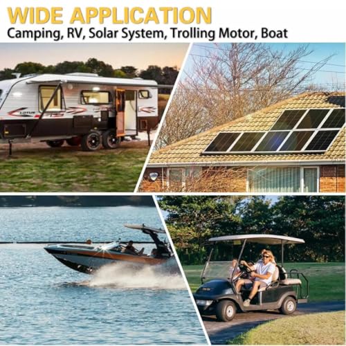 Weize 12V 100Ah LiFePO4 Lithium Battery with Smart BMS D8810