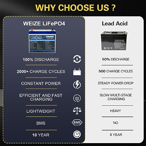 Weize 12V 100Ah LiFePO4 Lithium Battery with Smart BMS D8810