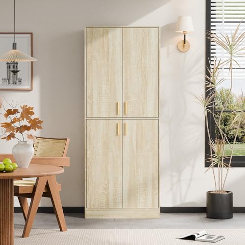 Cozy Castle 71" Tall Kitchen Pantry Cabinet with Doors and Shelves, Gray R70739