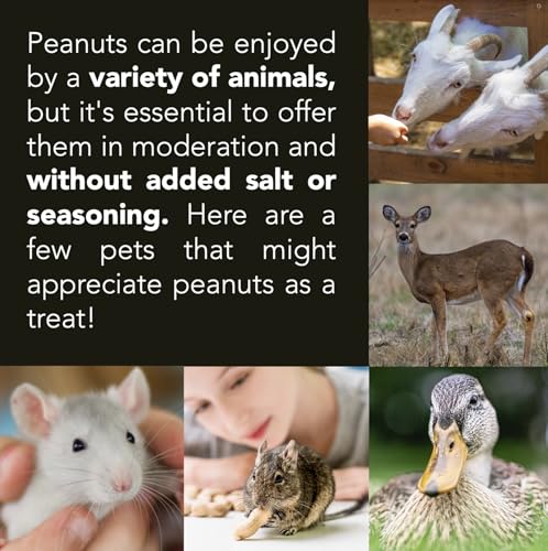 Wildlife Feed Raw Peanuts 50 LBS in-Shell for Squirrels Birds Deer Q98823