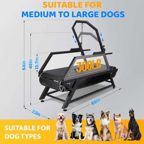 Dog Treadmill for Large Dogs with Brake, Adjustable Incline, Up to 300LBS S35064