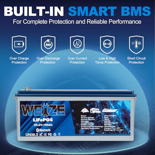 Weize 12V 100Ah LiFePO4 Lithium Battery with Smart BMS D8810