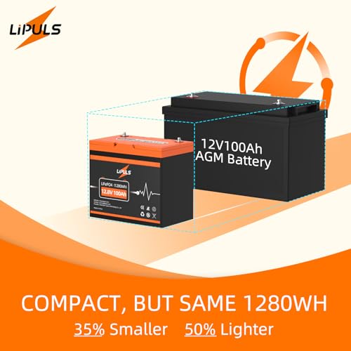 12.8V 100Ah LiFePO4 Battery, Group 24, Built-in 100A BMS L509