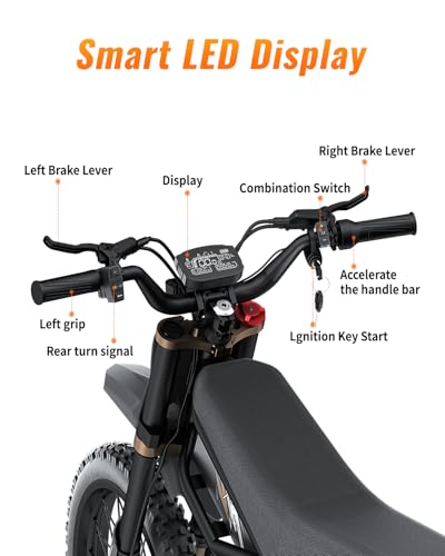 2000W/3000W GT73 Electric Dirt Bike for Adults, 25" Fat Tires, Dual Removable Battery T652